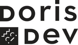 Doris Dev logo